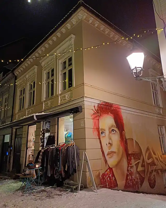 divert bruktbutikk bergen david bowie