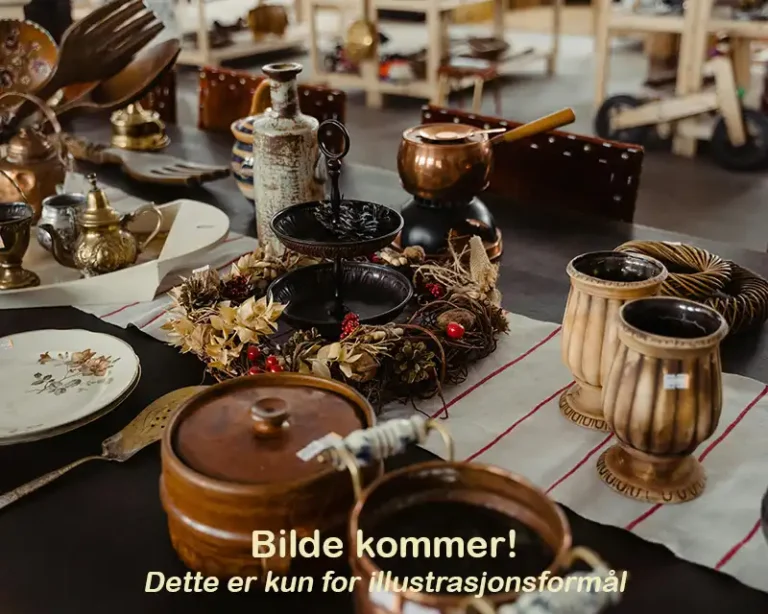 finnbruktbutikk antikk retro 768x614
