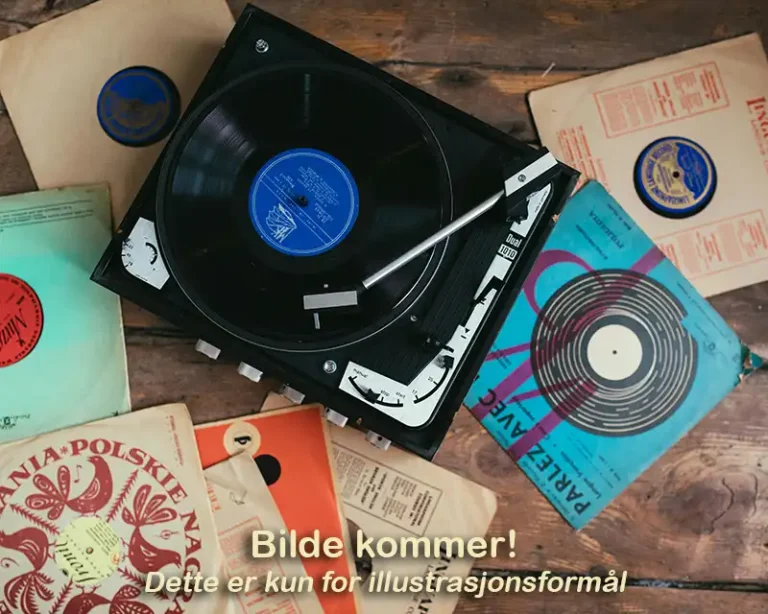 finnbruktbutikk lpplater 768x614