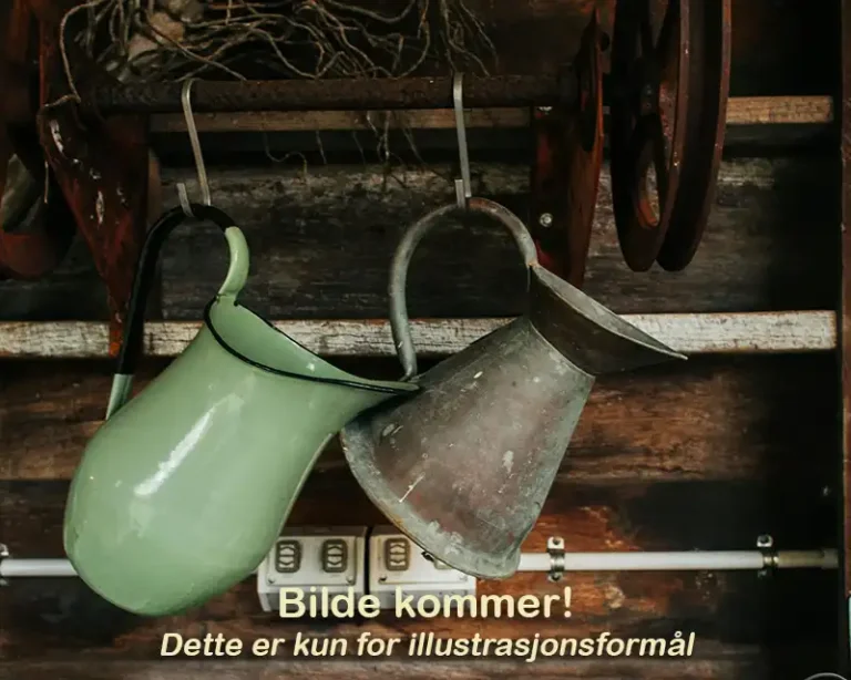 finnbruktbutikk retro 1 768x614