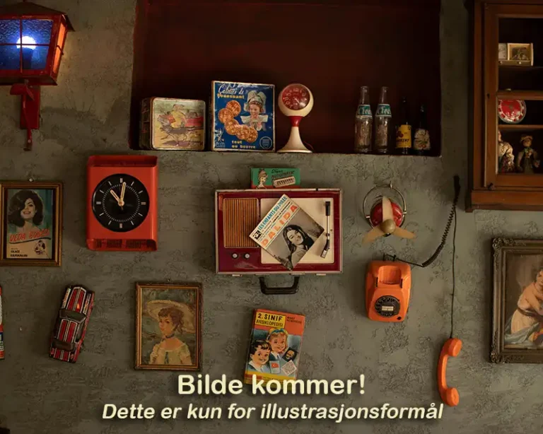 finnbruktbutikk vintage 1 768x614